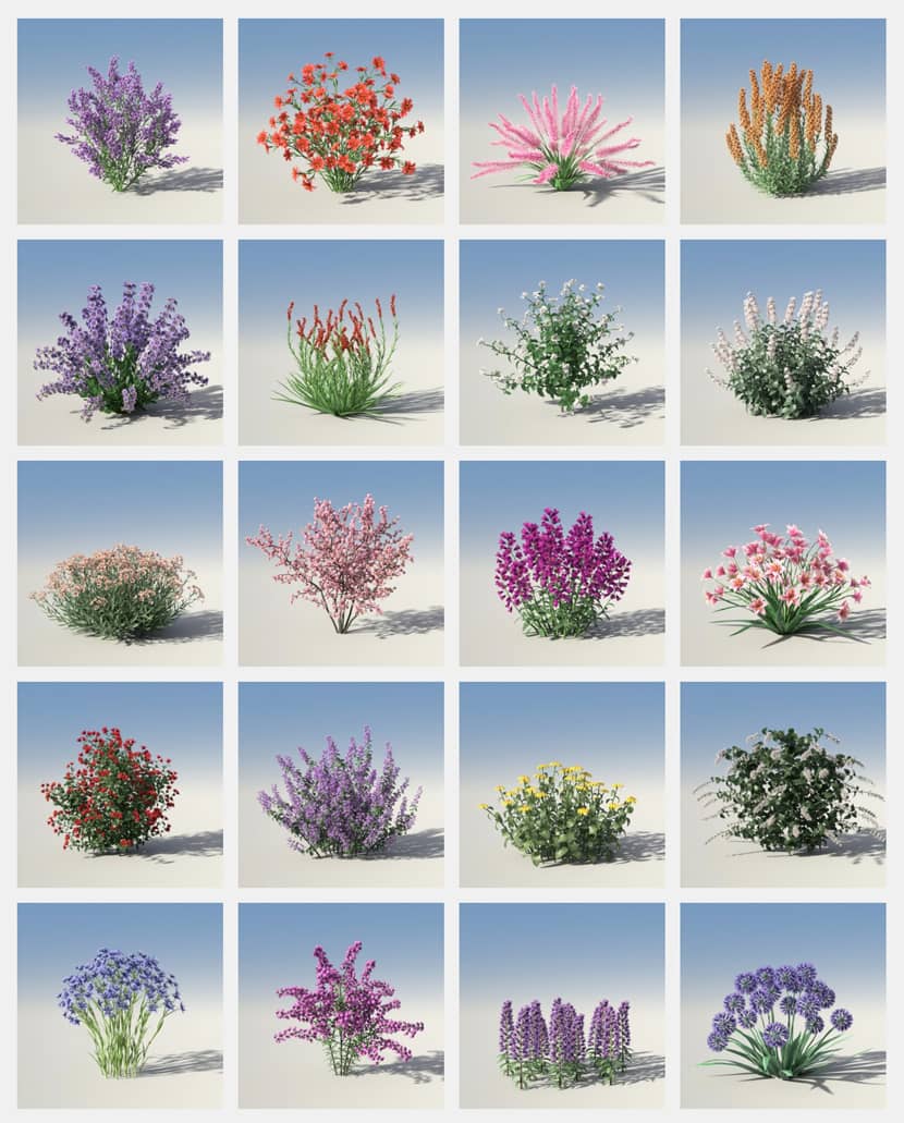 Forester For C4D: Features, Packs & Render Options