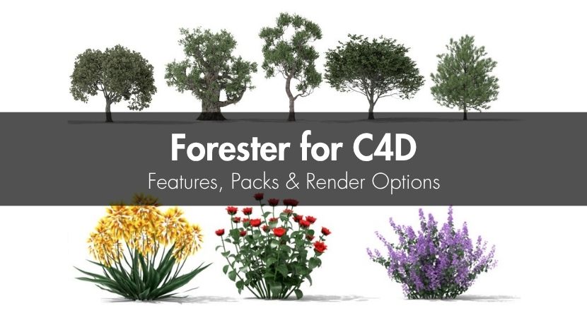 Forester For C4D: Features, Packs & Render Options